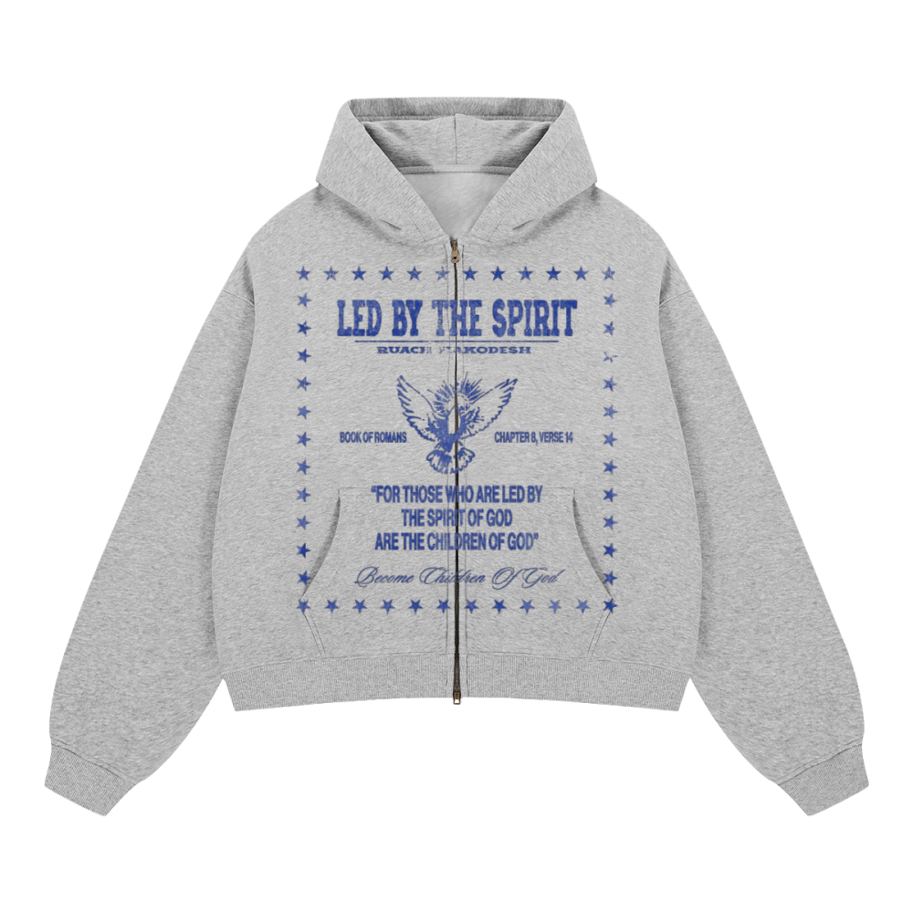 Led Hoodie