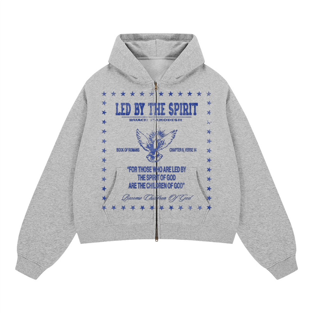 Led Hoodie
