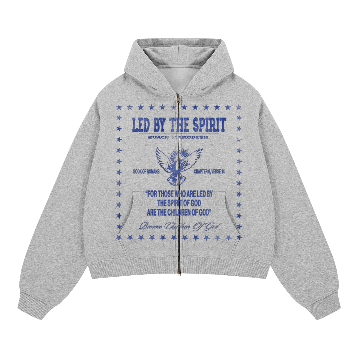 Led Hoodie